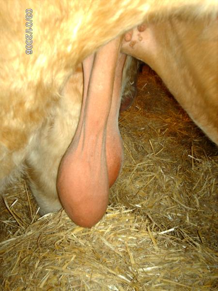 quoi qu'est ce?