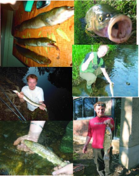 La p&ecirc;che�